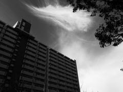 R0011202