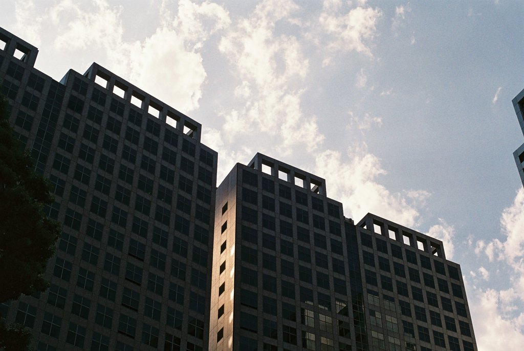 FH000019