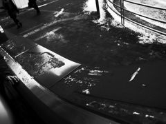 R0011424