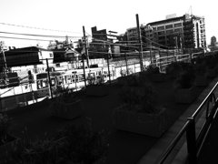 R0011964