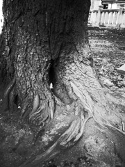 R0011942