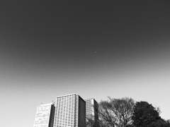 R0011766