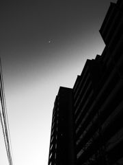 R0012244