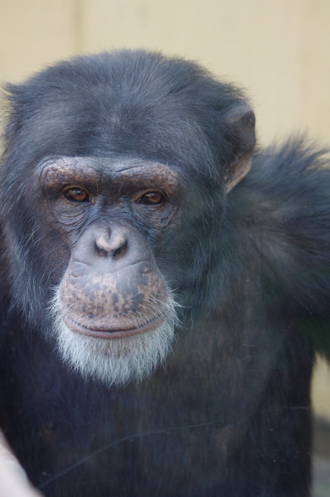 伊豆シャボテン公園の動物たち