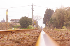 IMGP6012