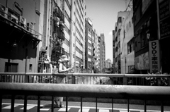 shibuya