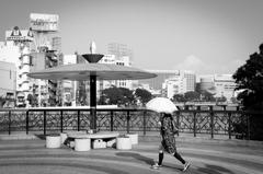 hakata