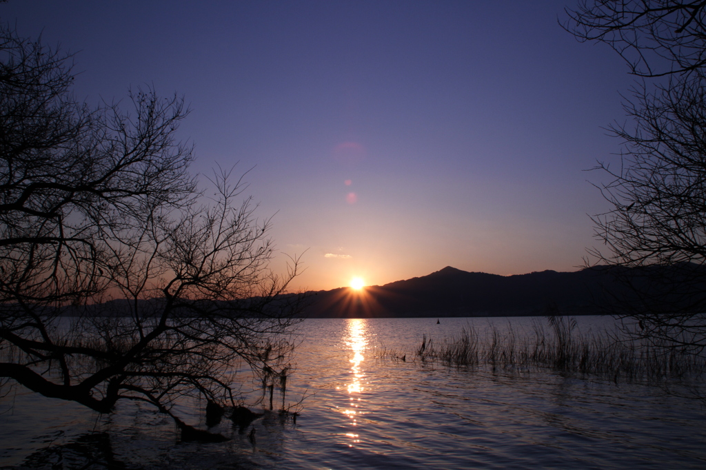 夕日