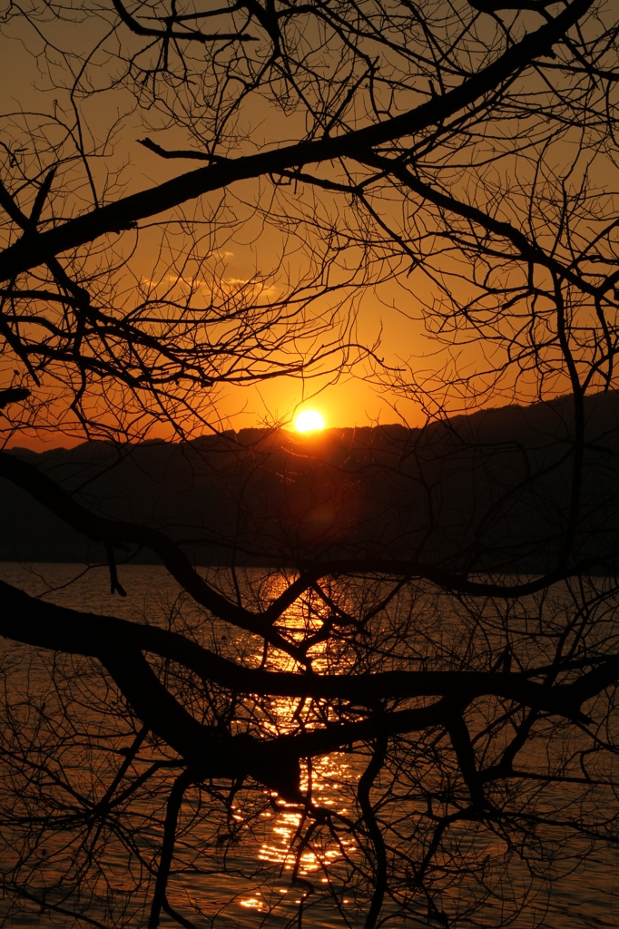 夕日
