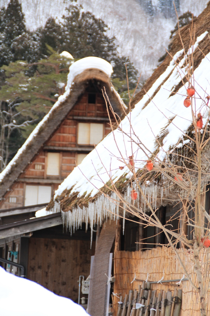 白川
