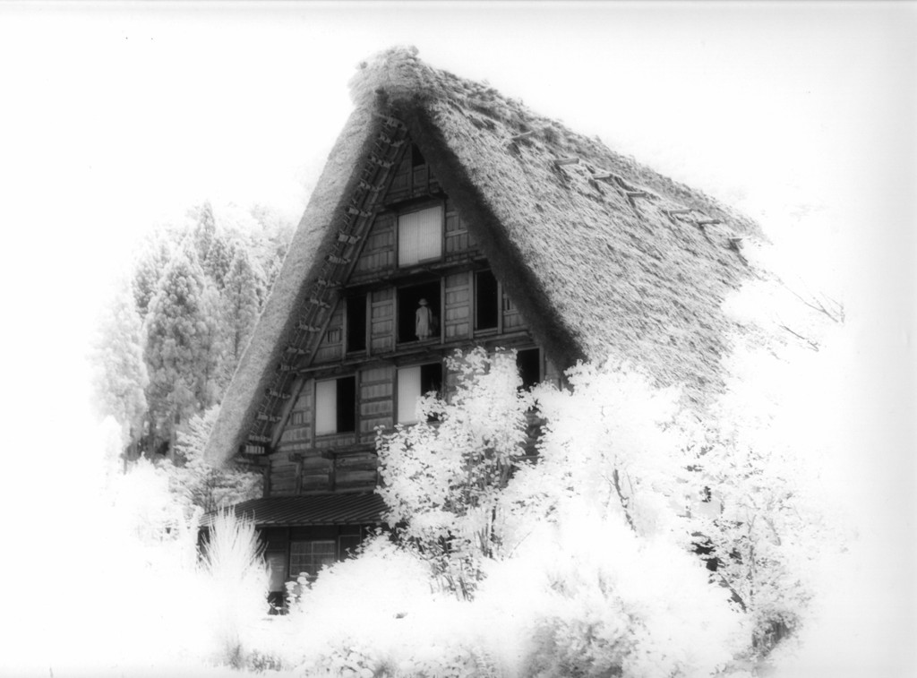 葉月の輝き