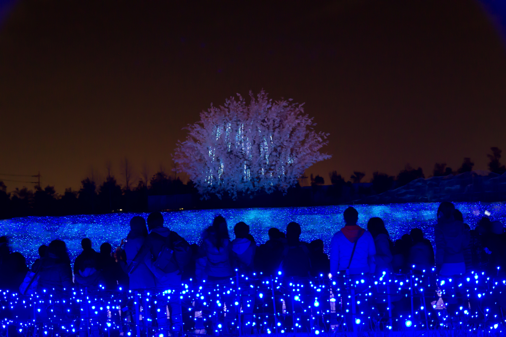 光の海