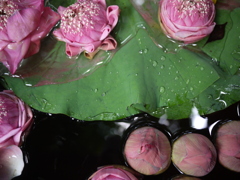 P1060312