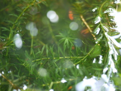 P1060504