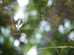 P1060513