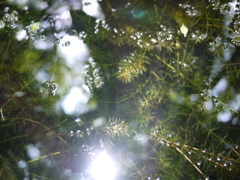 P1060510