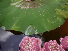 P1060376