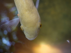 P1060476