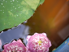 P1060379