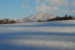 青雪