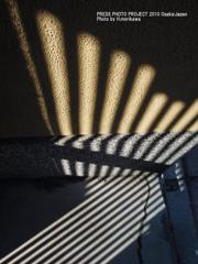 SHADOW ART COLLECTION