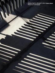SHADOW ART COLLECTION