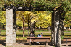CSC_0127