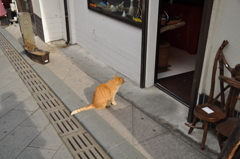 こんにちニャン♪