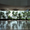 CSC_0118