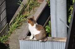CSC_0031