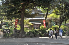 CSC_0006