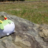 山を登りきるすくすく