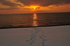 夕日