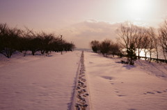 雪道
