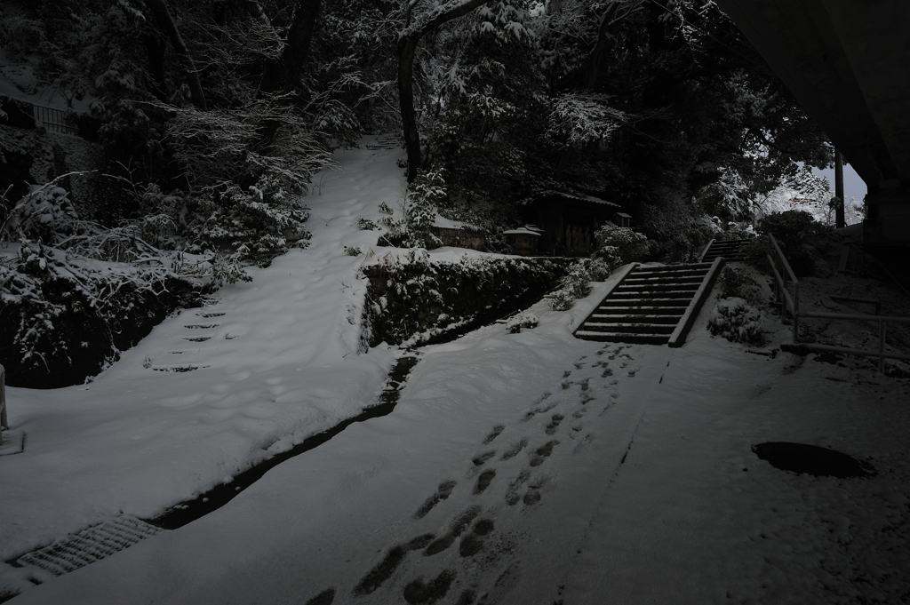 雪道