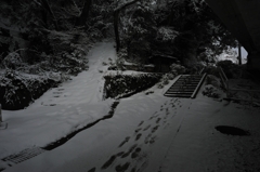 雪道