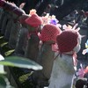 増上寺#2