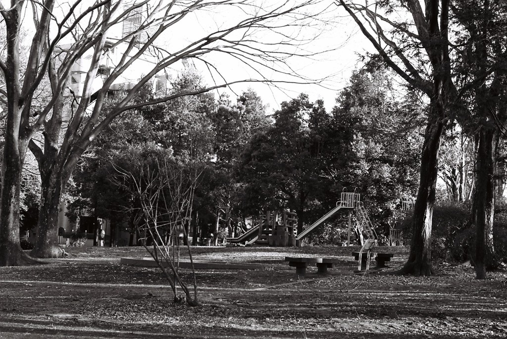 近所の公園