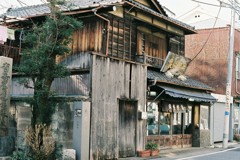 谷中#2