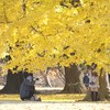 新宿御苑#2