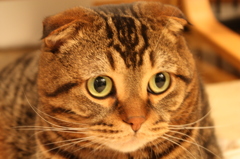 起きたら目がぱっちり