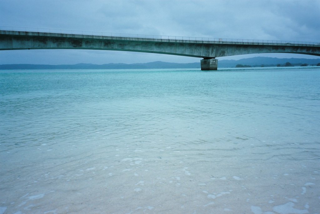 橋