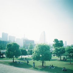 公園