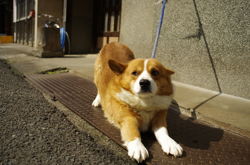 寝起き