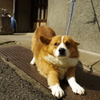 寝起き
