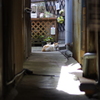 伝建地区の住人