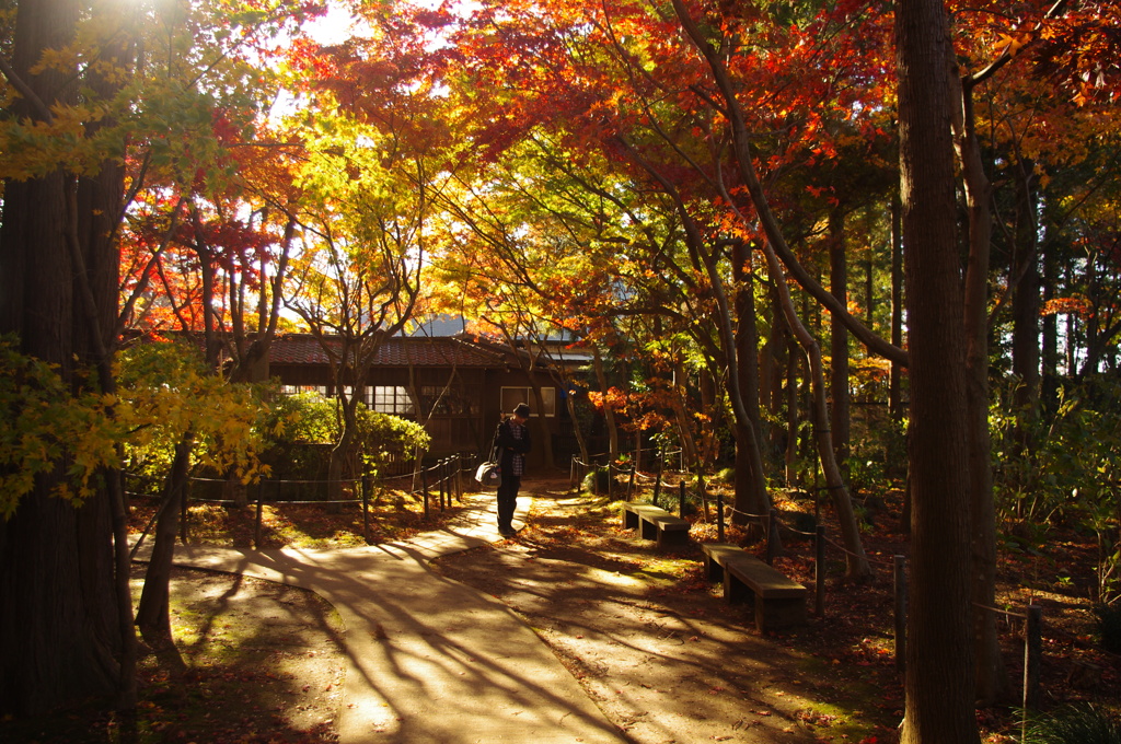 ちば旅！秋の本土寺編