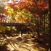 ちば旅！秋の本土寺編