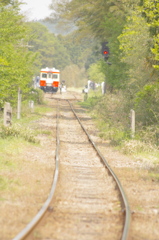 ちば旅！春のいすみ鉄道編