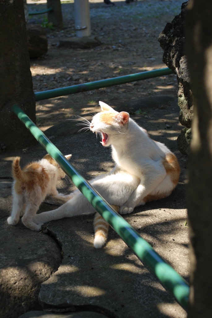 ふあ～